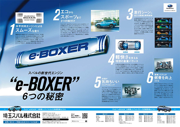 eboxer